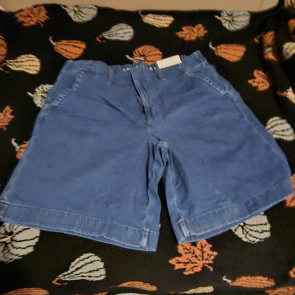 American Eagle Outfitters Women Denim Blue Jean Bermudas